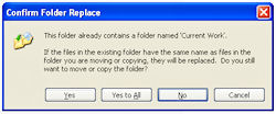 Windows Explorer Confirm Replace